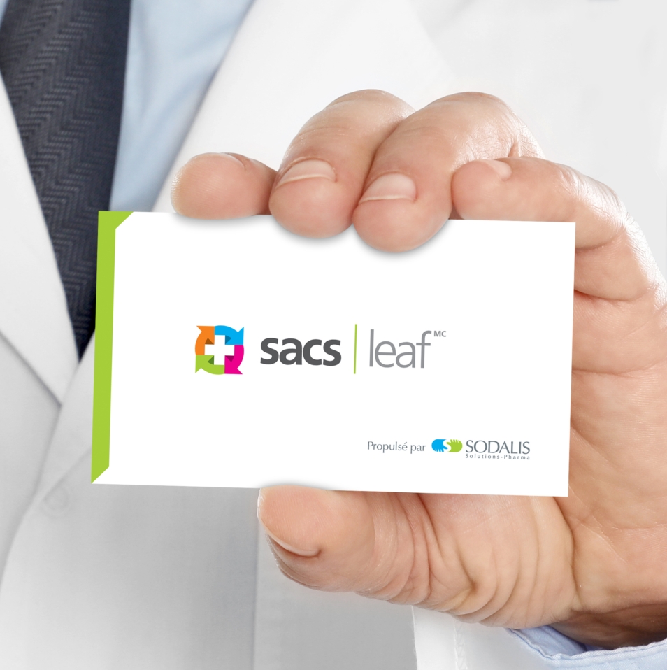 Sacs Leafs realisation 3